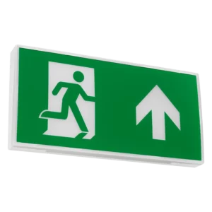 Maestro-Exit-Sign-Off-800px-from-web