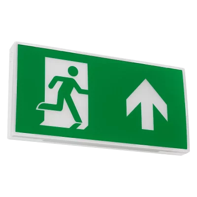 Maestro-Exit-Sign-Off-800px-from-web