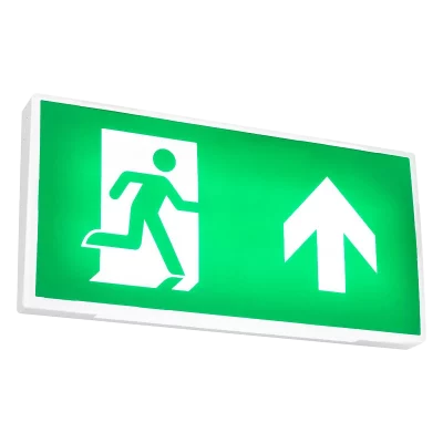 Maestro-Exit-Sign-On-800px-from-web